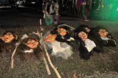 db4bf95a-0b0c-408d-854e-1aededf9a0e9